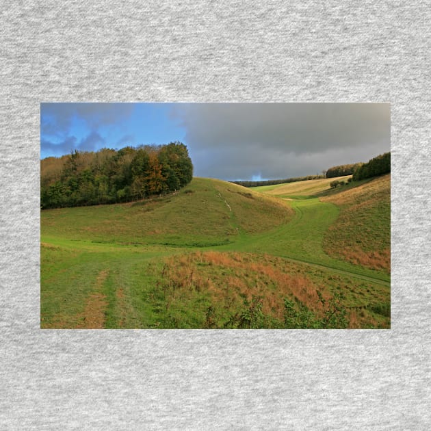 Arundel Park by RedHillDigital